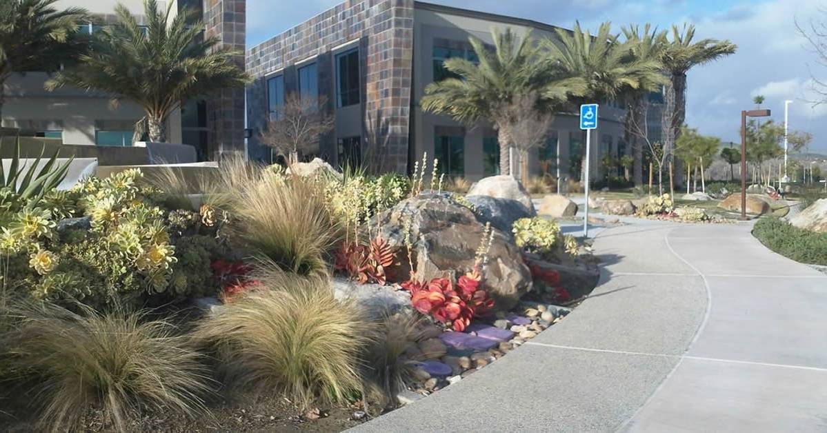 Commercial Landscaping San Diego