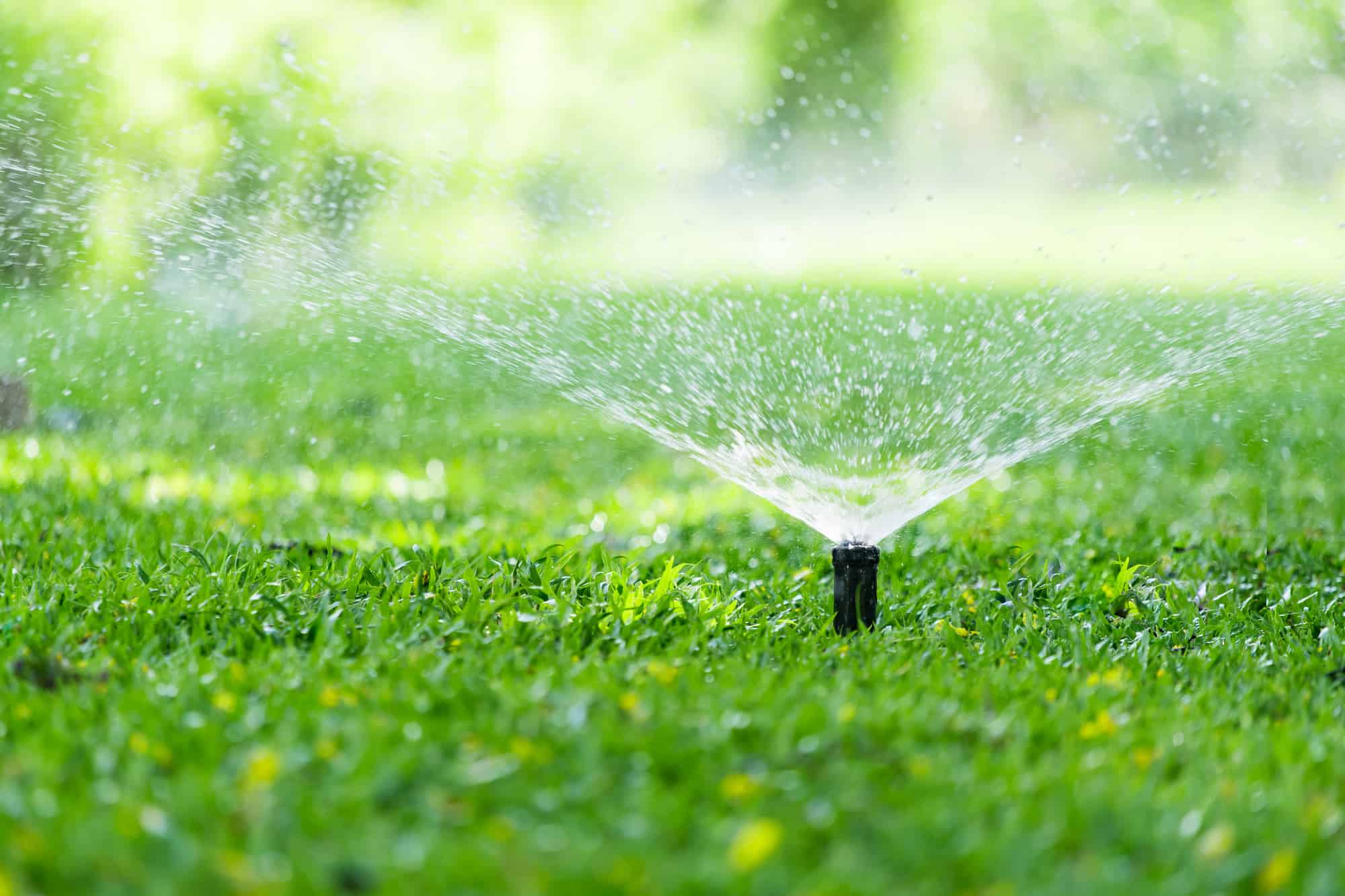 Irrigation Systems and Maintenance - True Lawn Care Inc